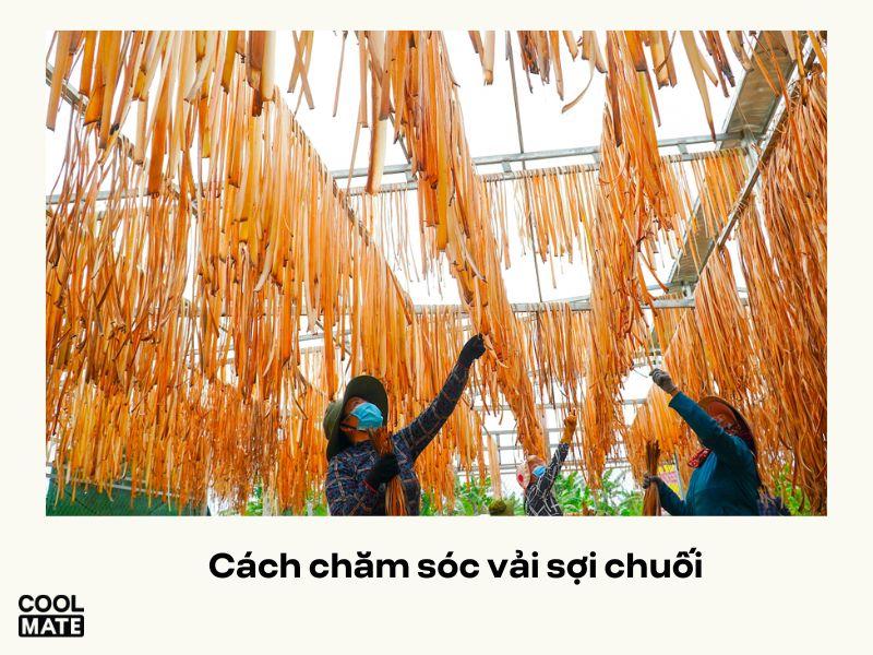 Cách chăm sóc vải sợi chuối
