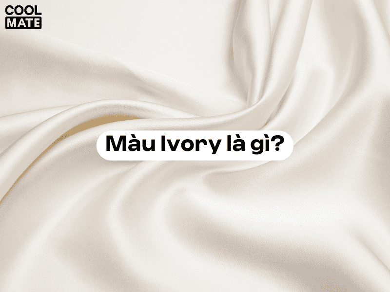 Màu Ivory là gì?