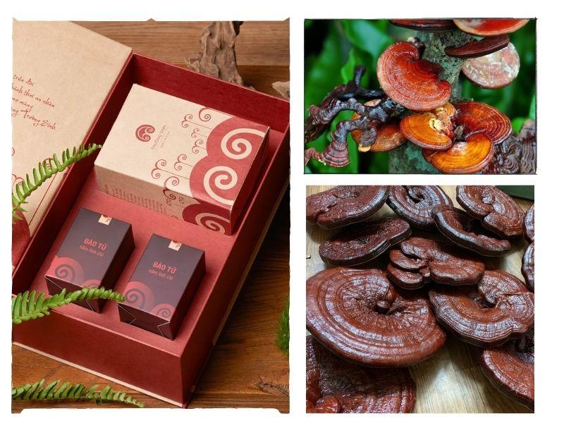 Lần đầu ra mắt nhà người yêu tặng nấm linh chi
