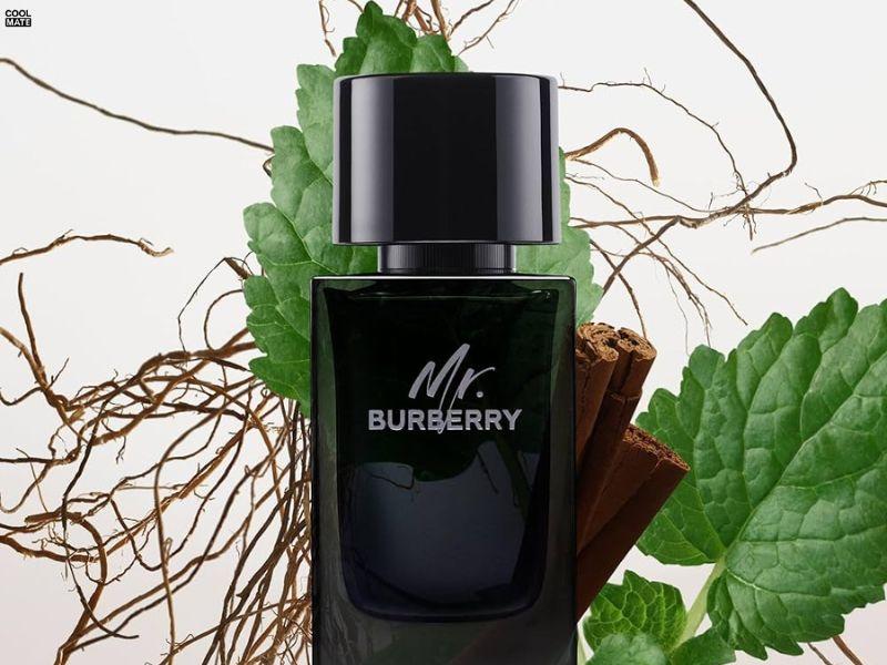 thương hiệu Burberry