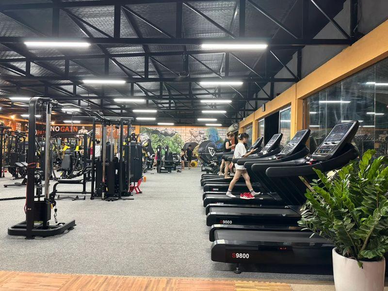 Phòng tập Shark Gym