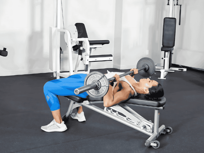 Ép ngực trên ghế ngang là bài tập cơ bản để phát triển toàn bộ cơ ngực