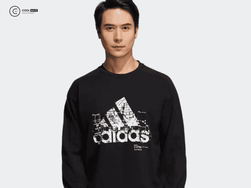 thuong-hieu-ao-sweater-nam-1