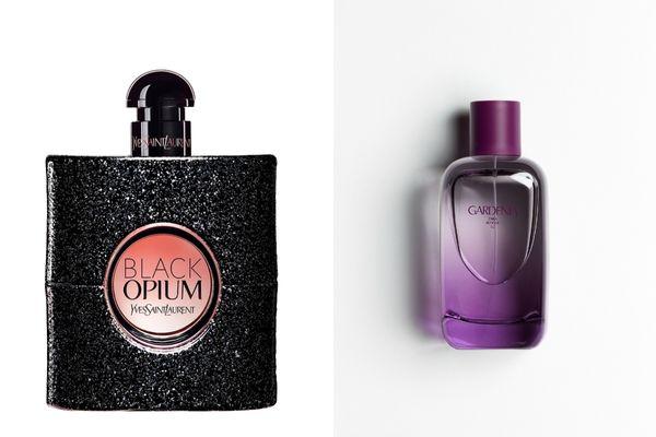 YSL Black Opium và Zara Gardenia