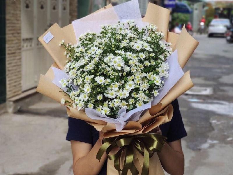 Hoa thạch thảo thảo trắng tinh khôi, thuần khiết