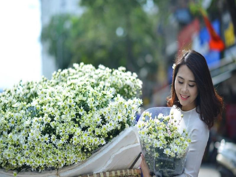 Bạn có thể tự tay chọn bó hoa cúc họa mi tặng cô giáo