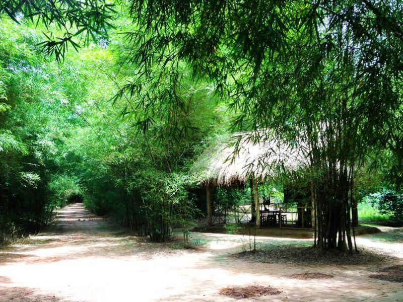 địa điểm du xuân cầu may ở miền Nam