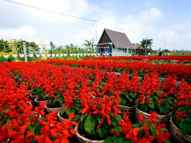 địa điểm du xuân cầu may ở miền Nam