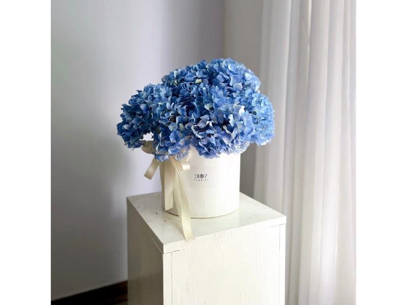 Hoa cẩm tú cầu ( Ảnh: Pinterest )