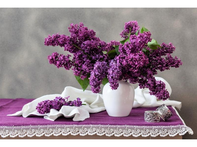 Hoa tử đinh hương ( Ảnh: Pinterest )