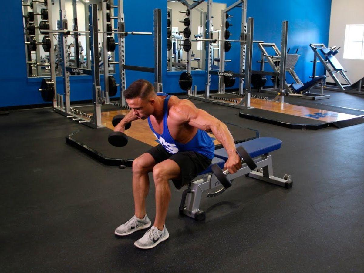 bài tập seated dumbbell reverse fly