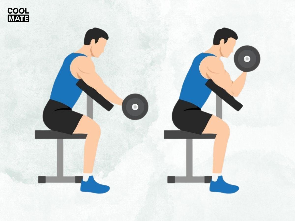 Động tác Dumbbell Preacher Curl