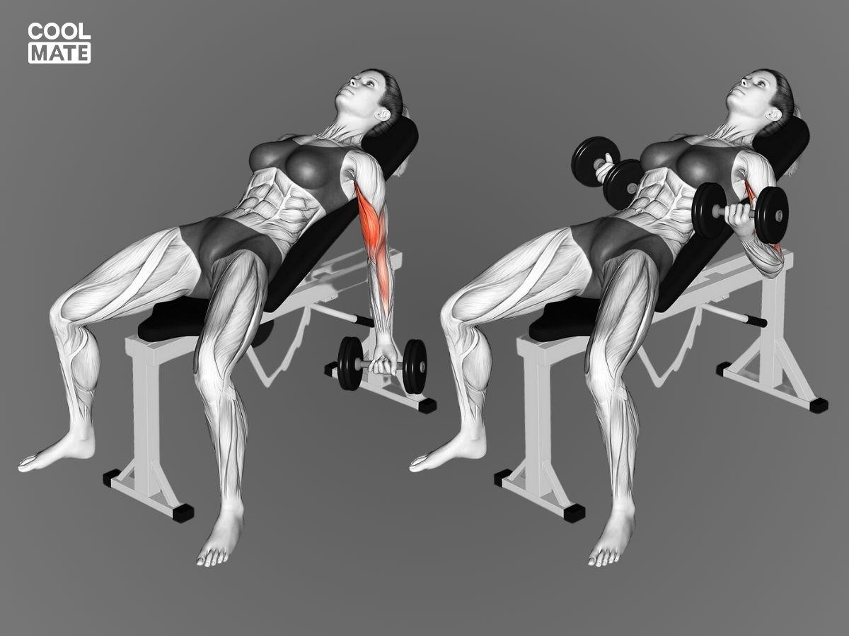 Động tác Incline Dumbbell Curl
