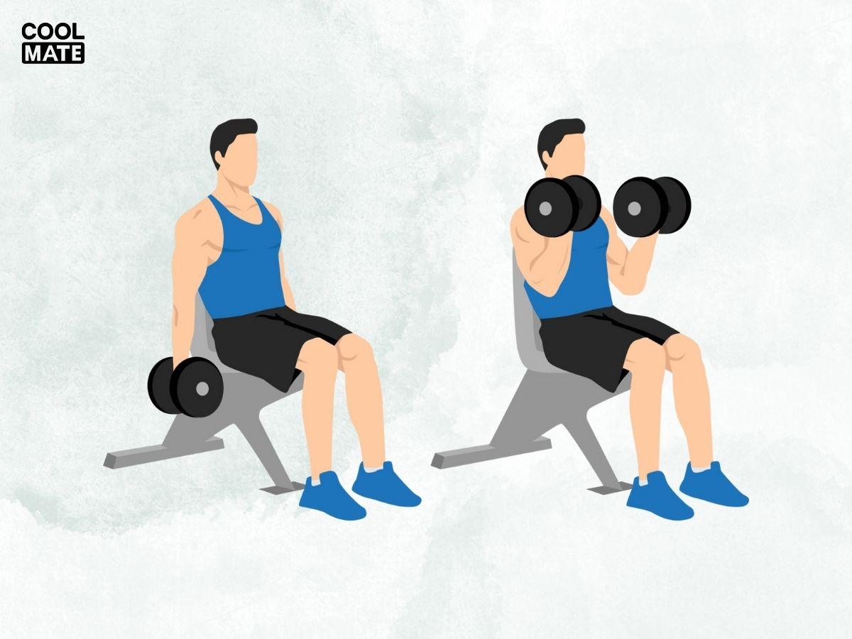 Động tác Seated Dumbbell Curl