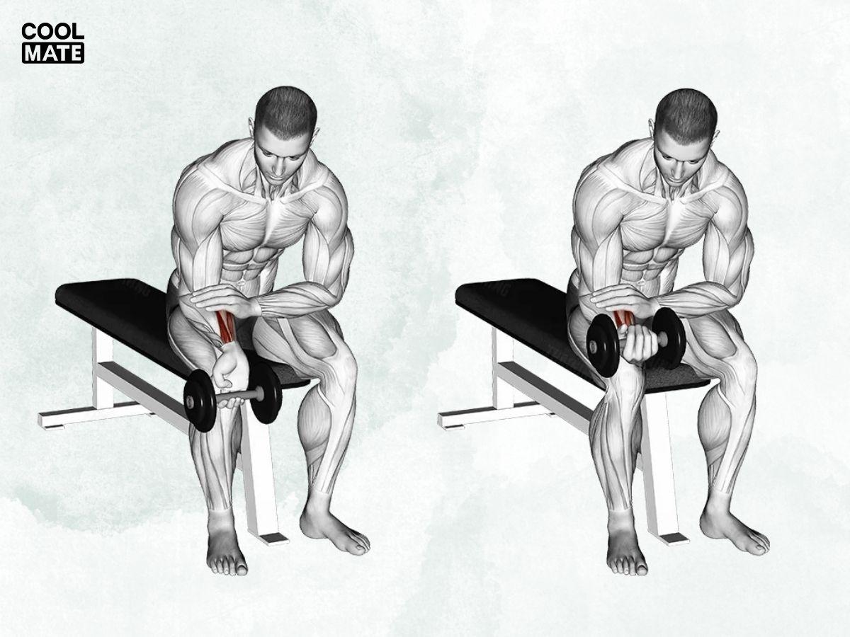 Động tác Dumbbell Wrist Curl
