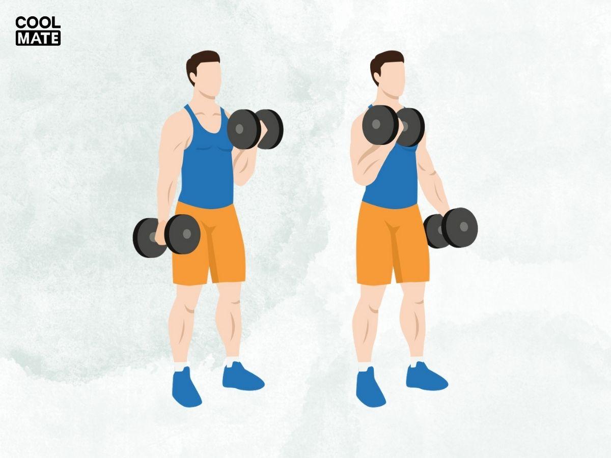 Động tác Alternating Dumbbell Curl