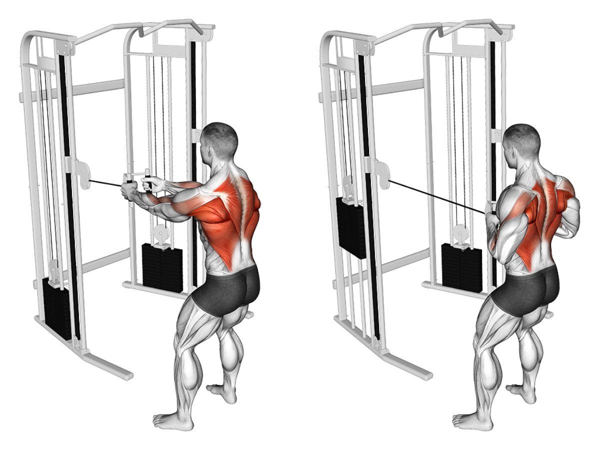 Lợi ích của Seated Cable Row