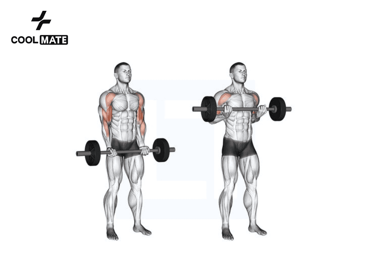 Wide-Grip Barbell Curl chủ yếu tập trung vào sức mạnh của bắp tay