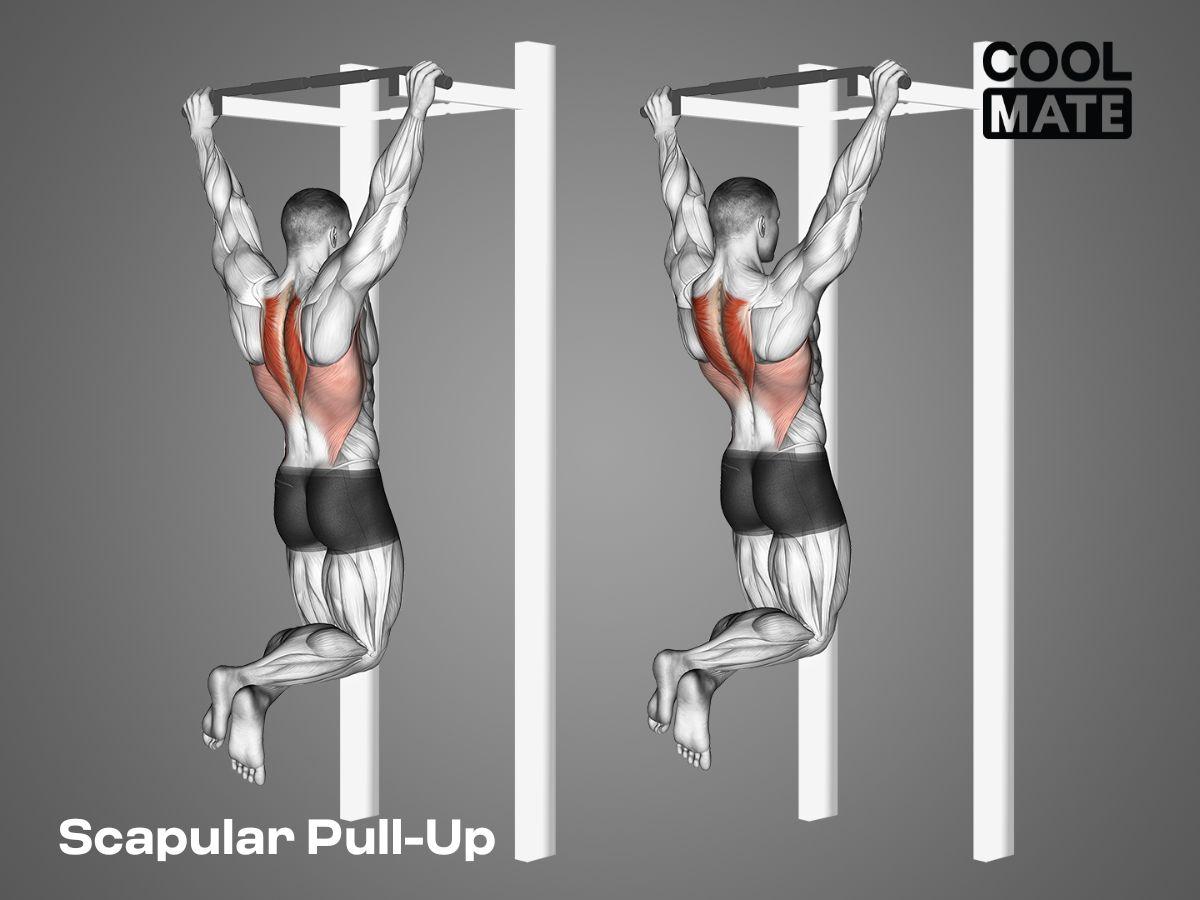 Scapular Pull-Up