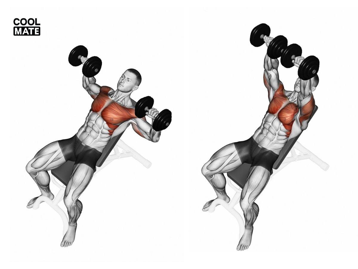 Bài tập Dumbbell Press