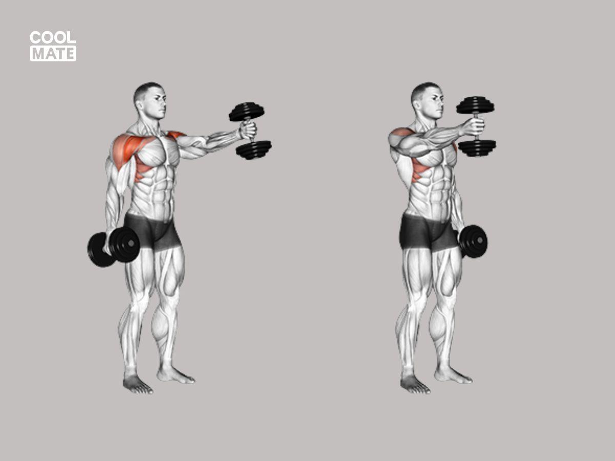 Bài tập Front Dumbbell Raise