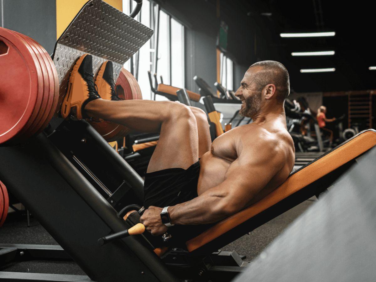 Bài tập Leg Press