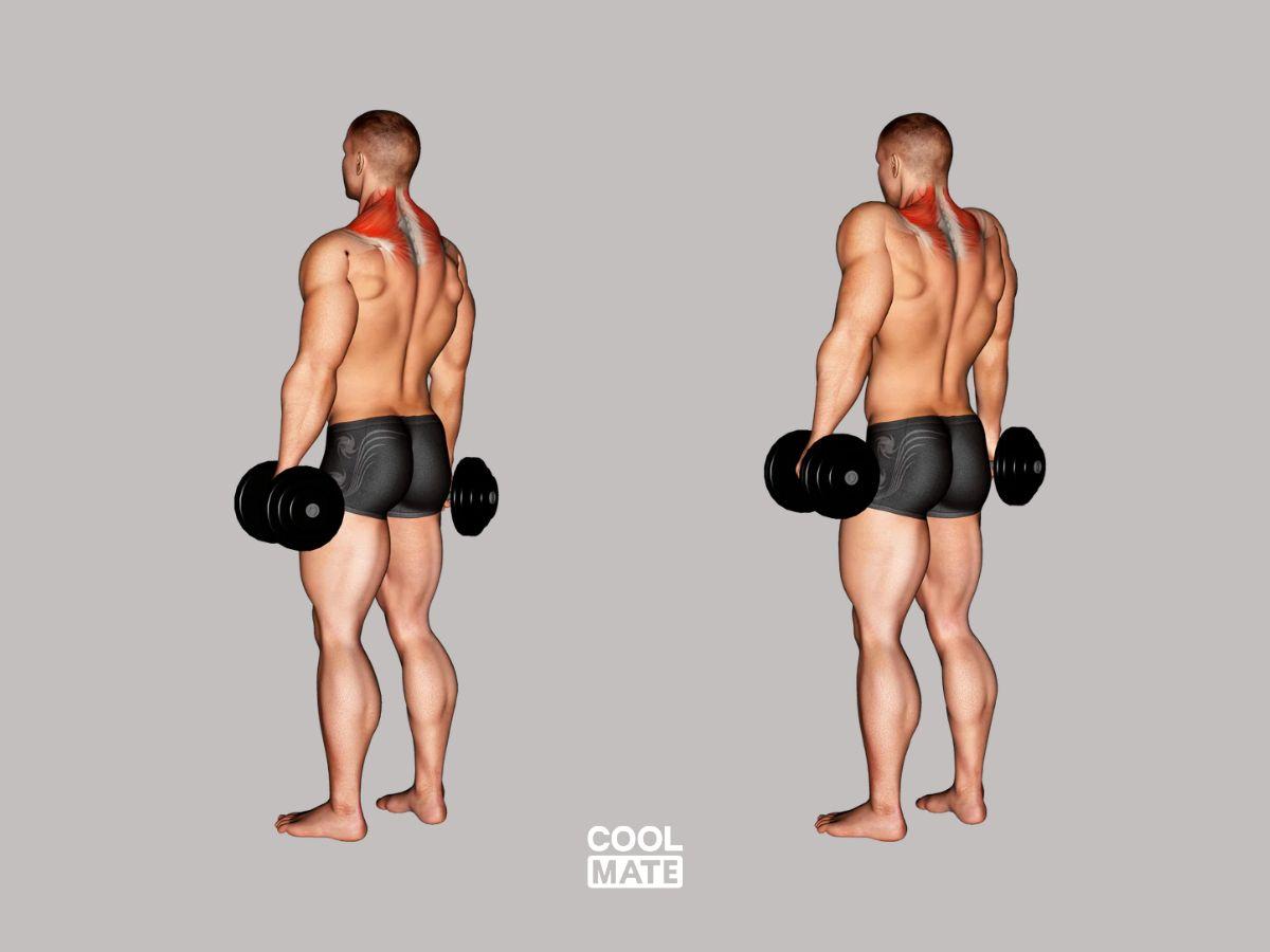 Bài tập nhún vai 