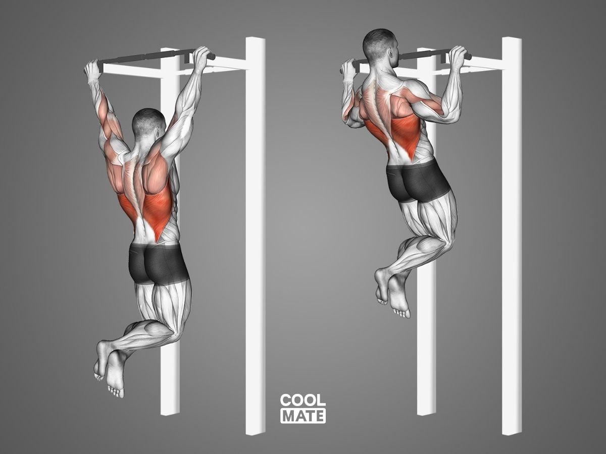 Bài tập Pullup