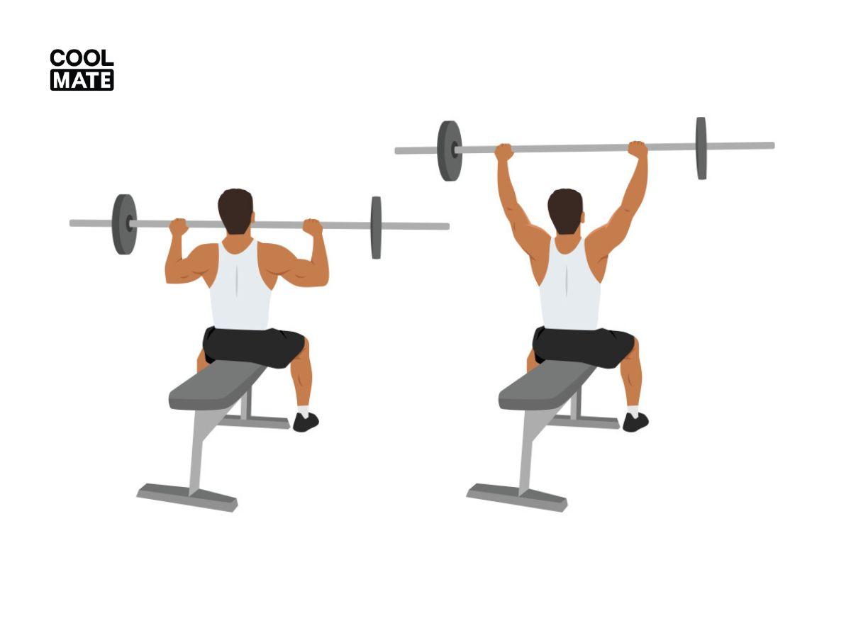 Bài tập cho cơ vai Seated Barbell Military Press