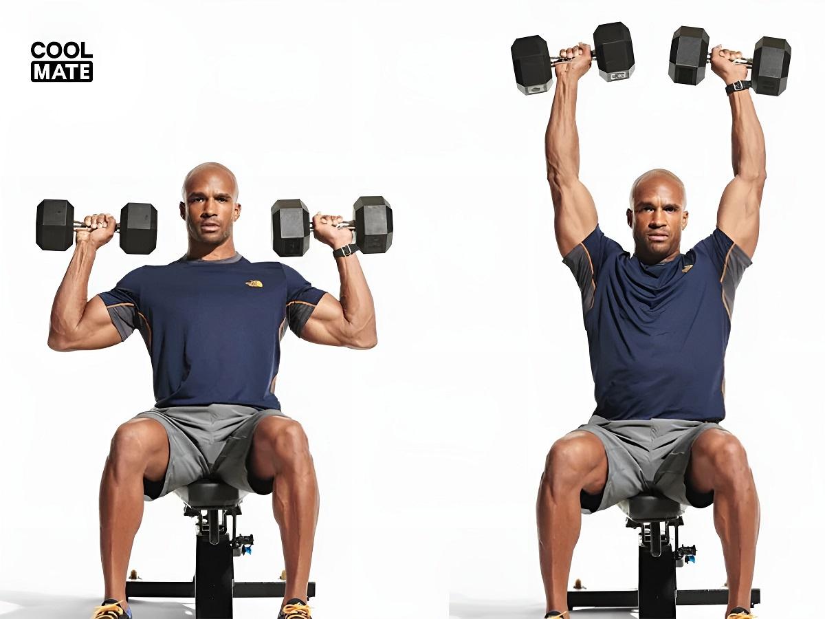 Bài tập vai Seated Dumbbell Shoulder Press