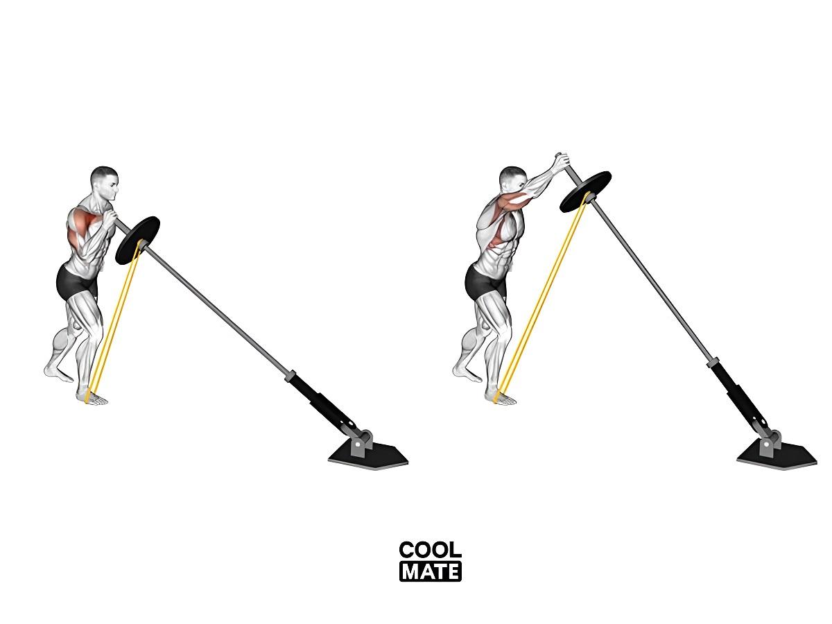 Bài tập vai Single-Arm Landmine Press