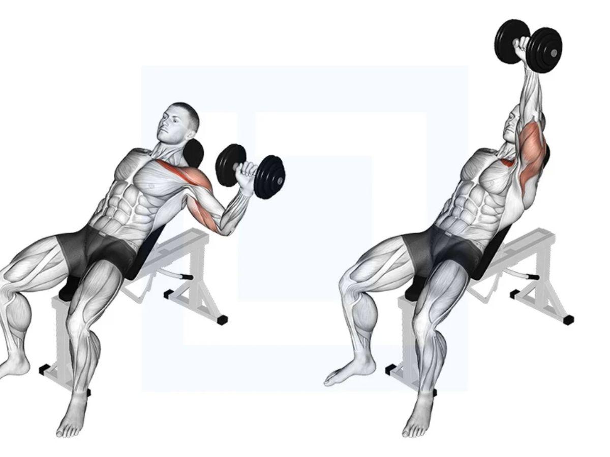 Ép ngực một tay với tạ đơn