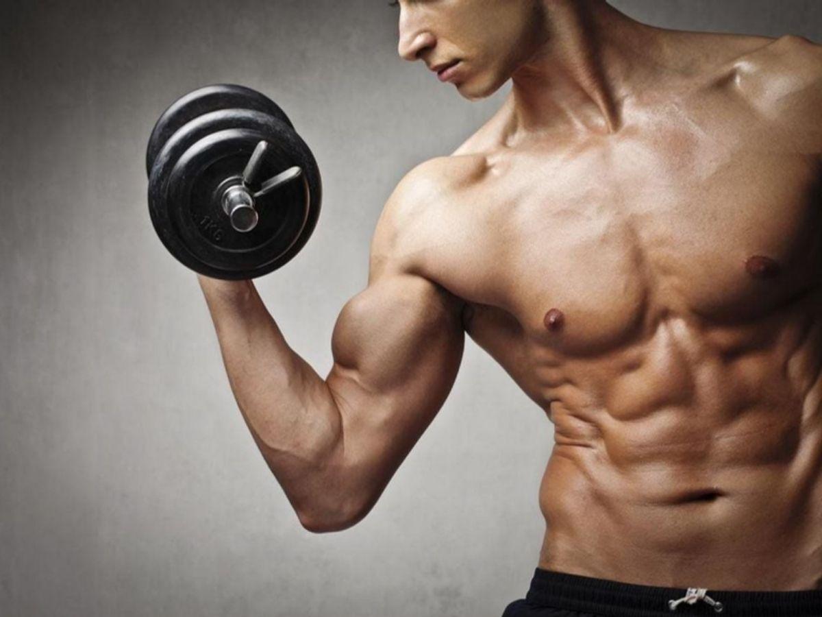 Quá trình tập luyện làm rách sợi cơ để tái tạo lại bằng cách tăng khối lượng và kích thước cơ