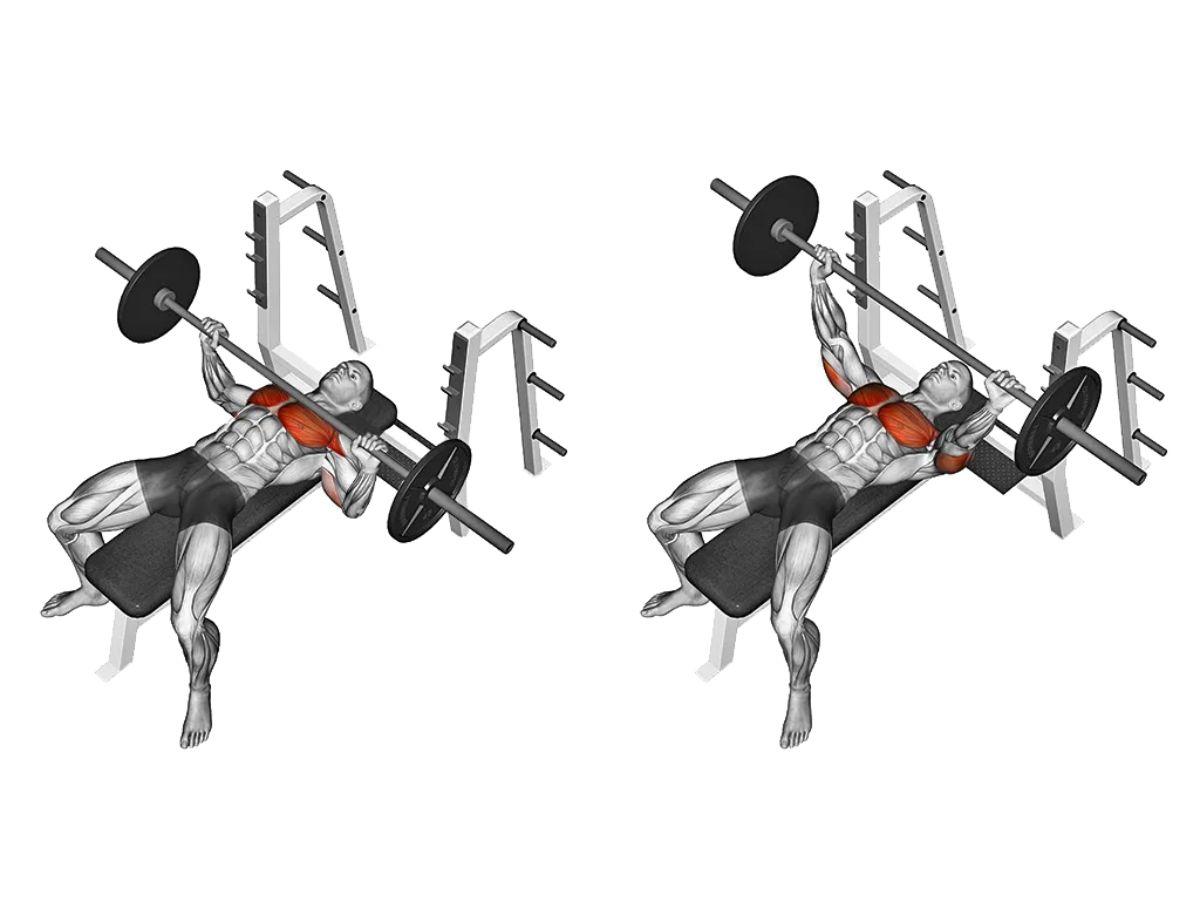Cách tập đúng động tác Bench Press