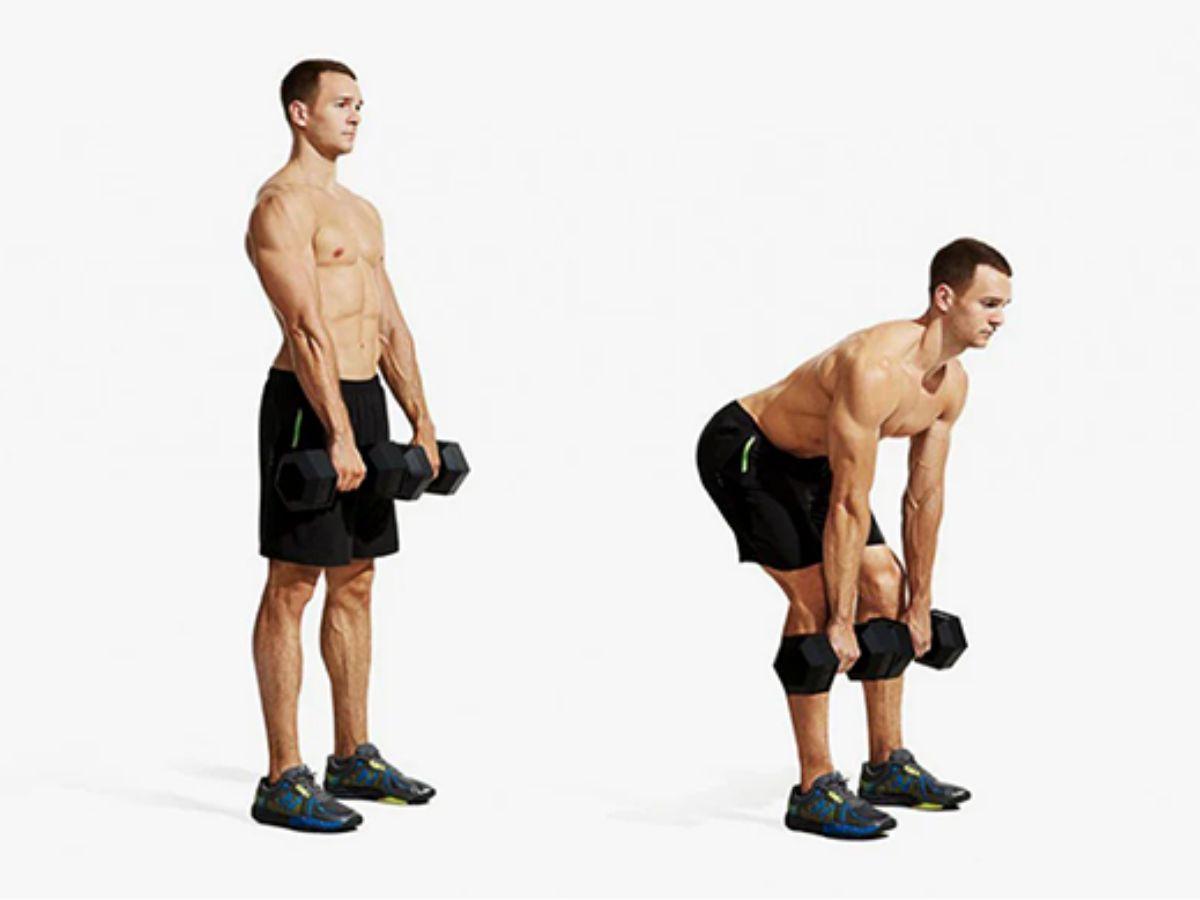 Deadlifts tác động toàn diện đến cơ bụng, cơ chân, cơ vai và cơ tay của người tập