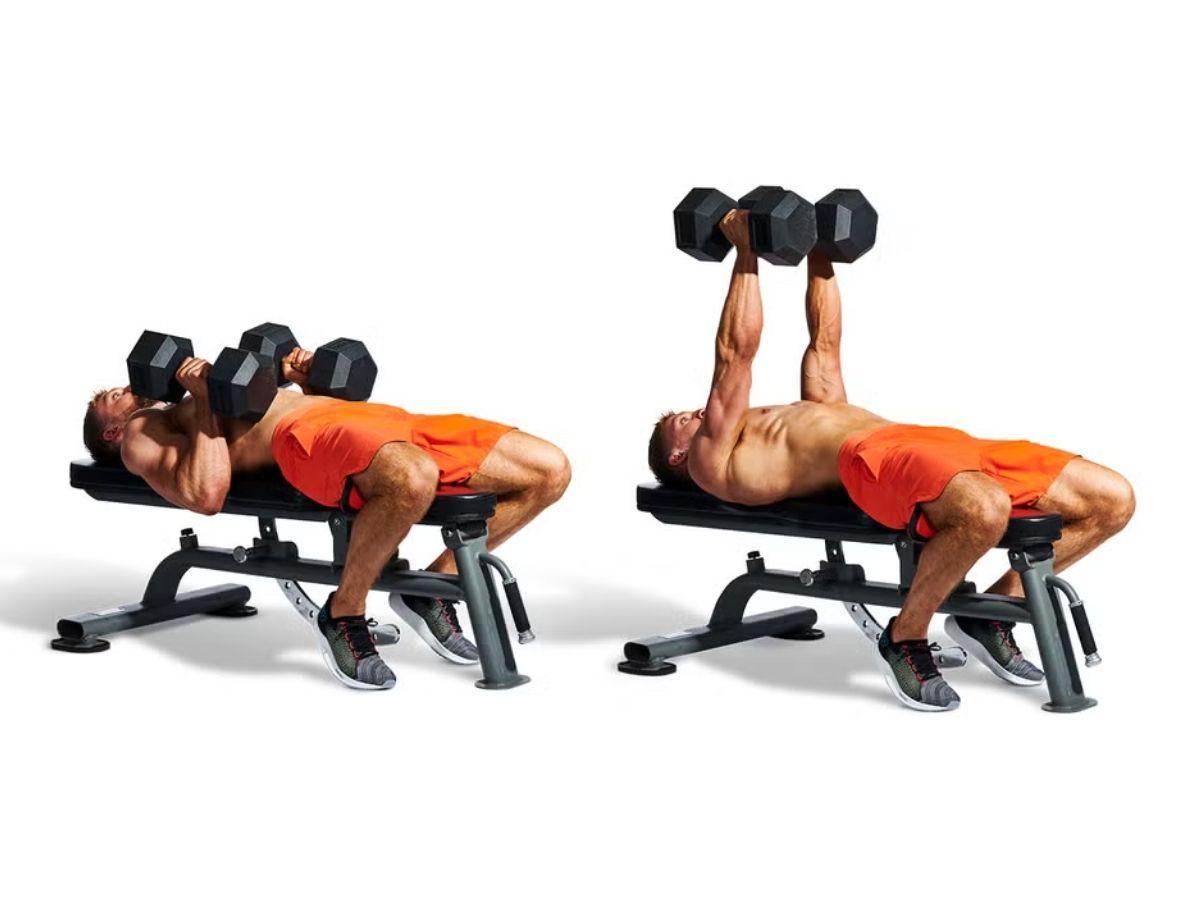 Dumbbell Bench Press tác động đến cơ ngực, cơ vai và cơ tam đầu