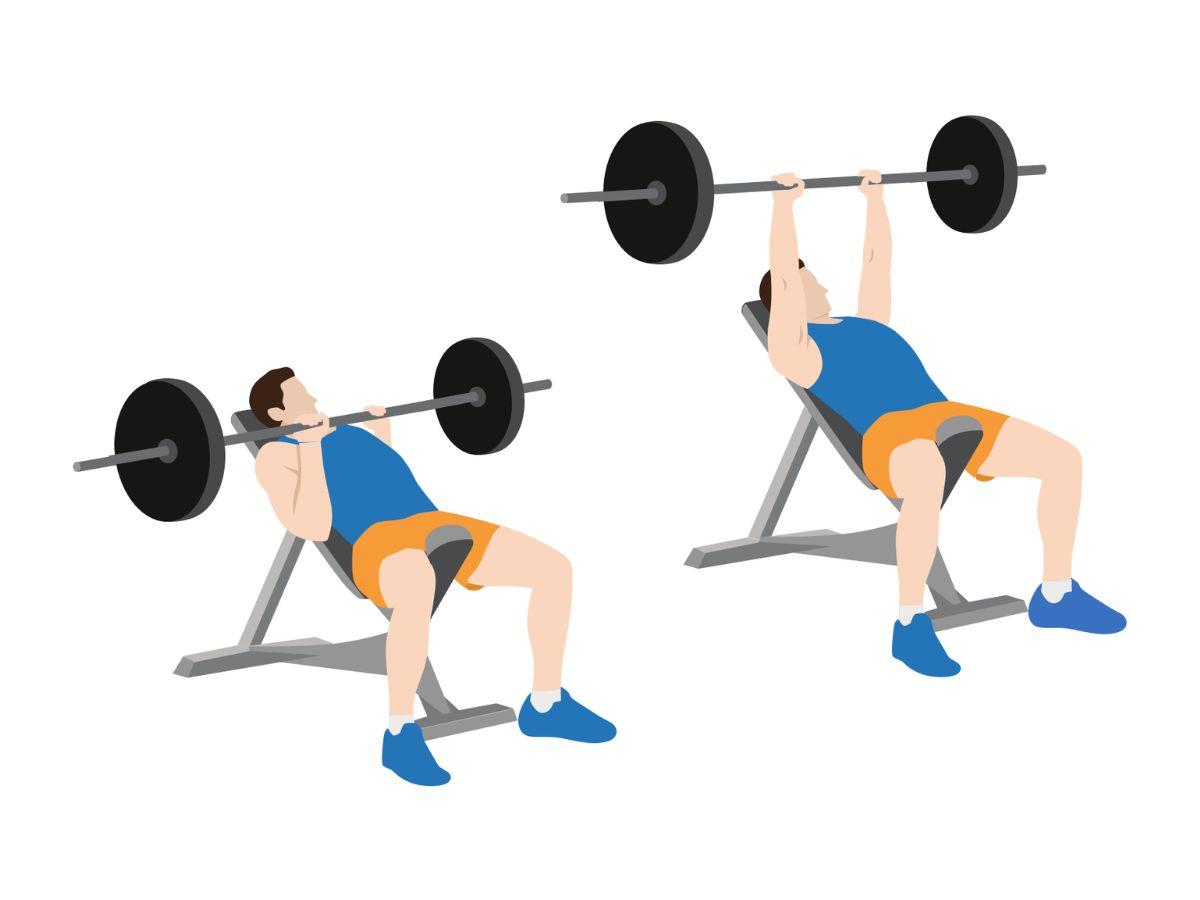 Bench Press là bài tập giúp phát triển phần thân trên