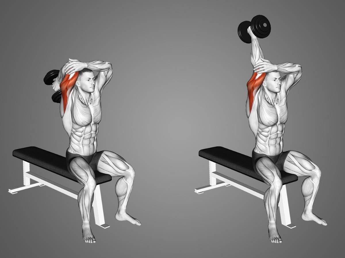 Overhead Triceps Extension – Bài tập bắp tay sau