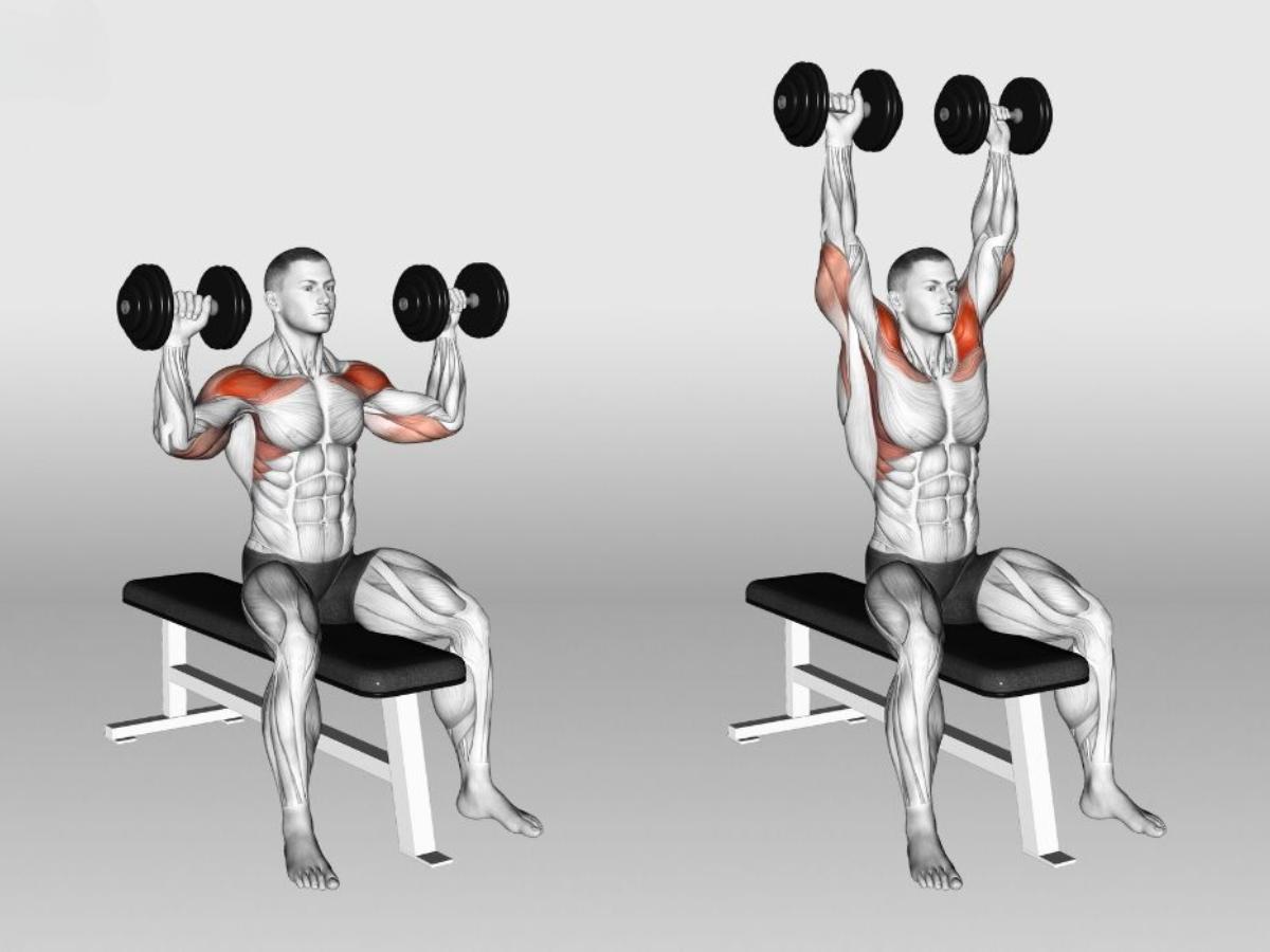 Shoulder Press – Bài tập vai