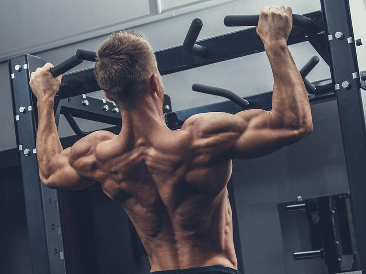 Ngày tập này giúp bạn có một tấm lưng rộng, dày và khỏe mạnh
