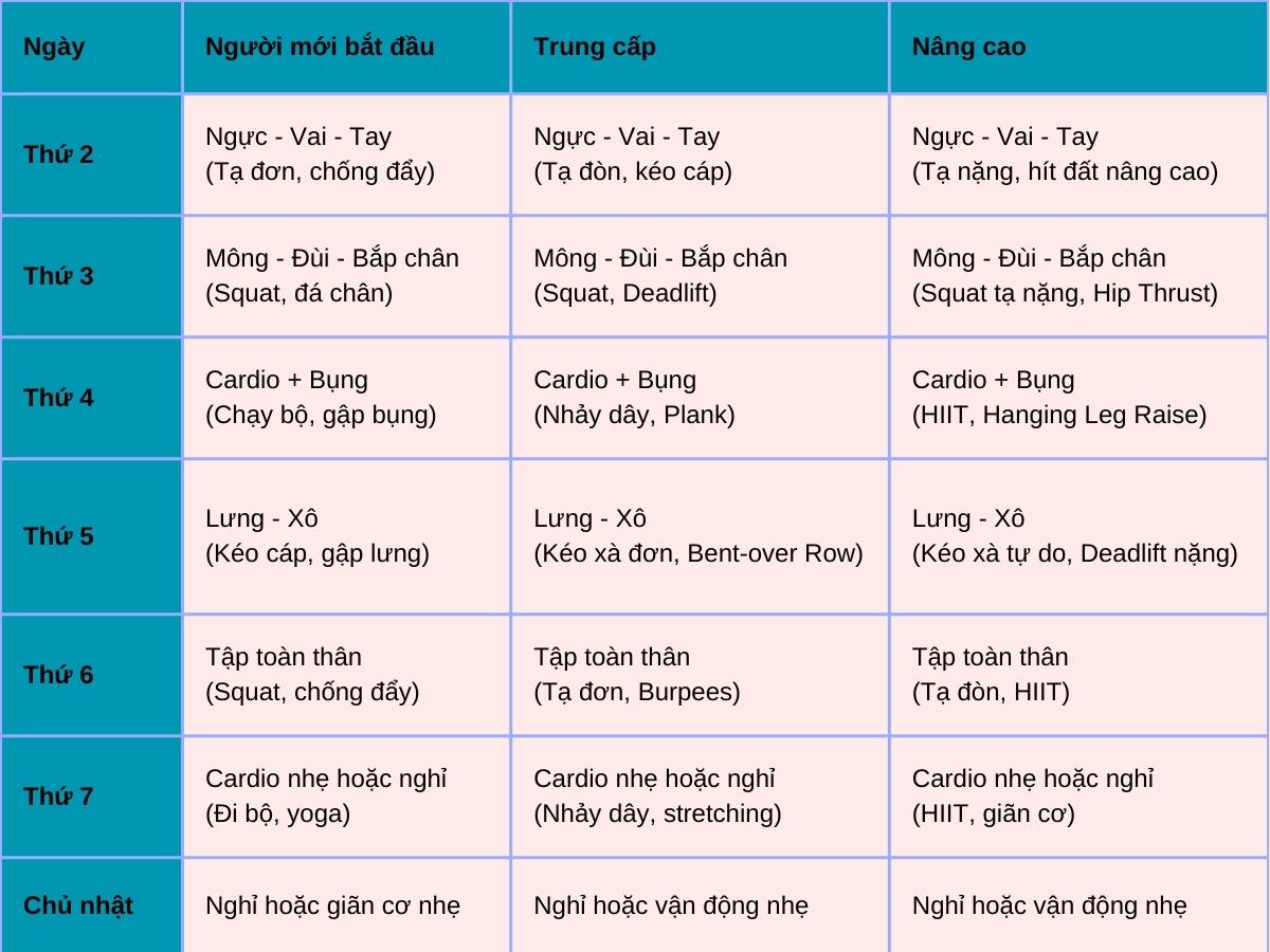 Lịch tập cho nữ theo cấp độ