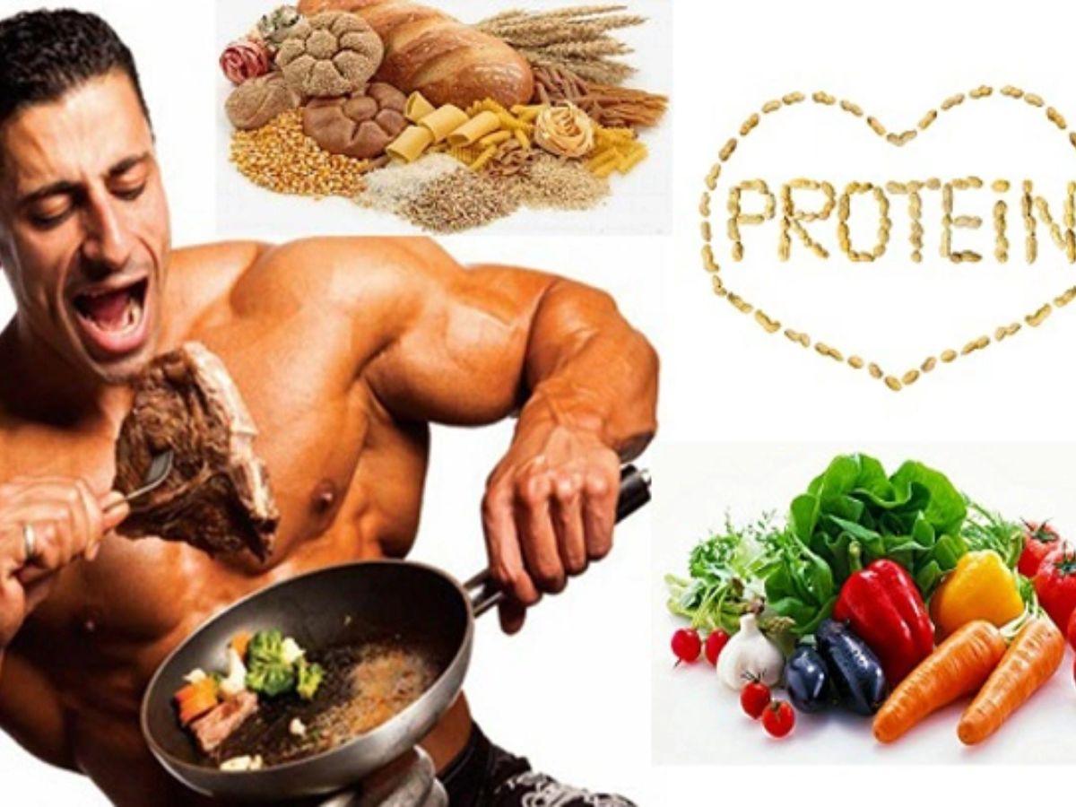 Protein chính là nguyên liệu vàng để xây dựng cơ bắp