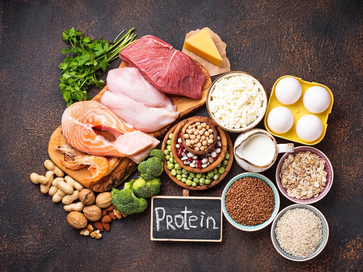Thịt gà, thịt bò, cá hồi, trứng là những nguồn protein chất lượng cao