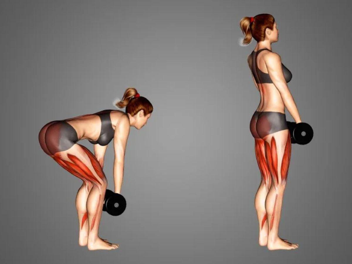 Deadlift với tạ tay