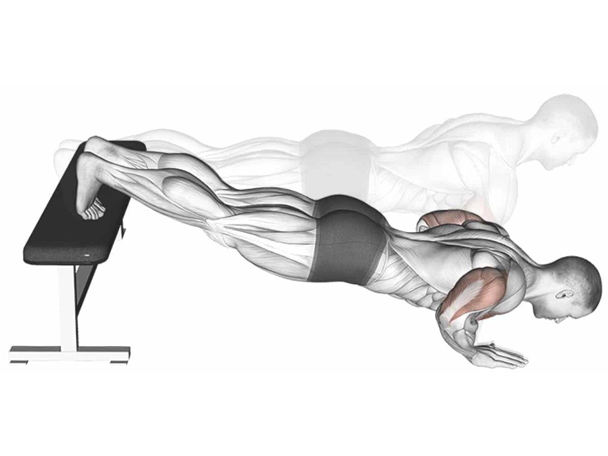 Bài tập Decline Push-Ups