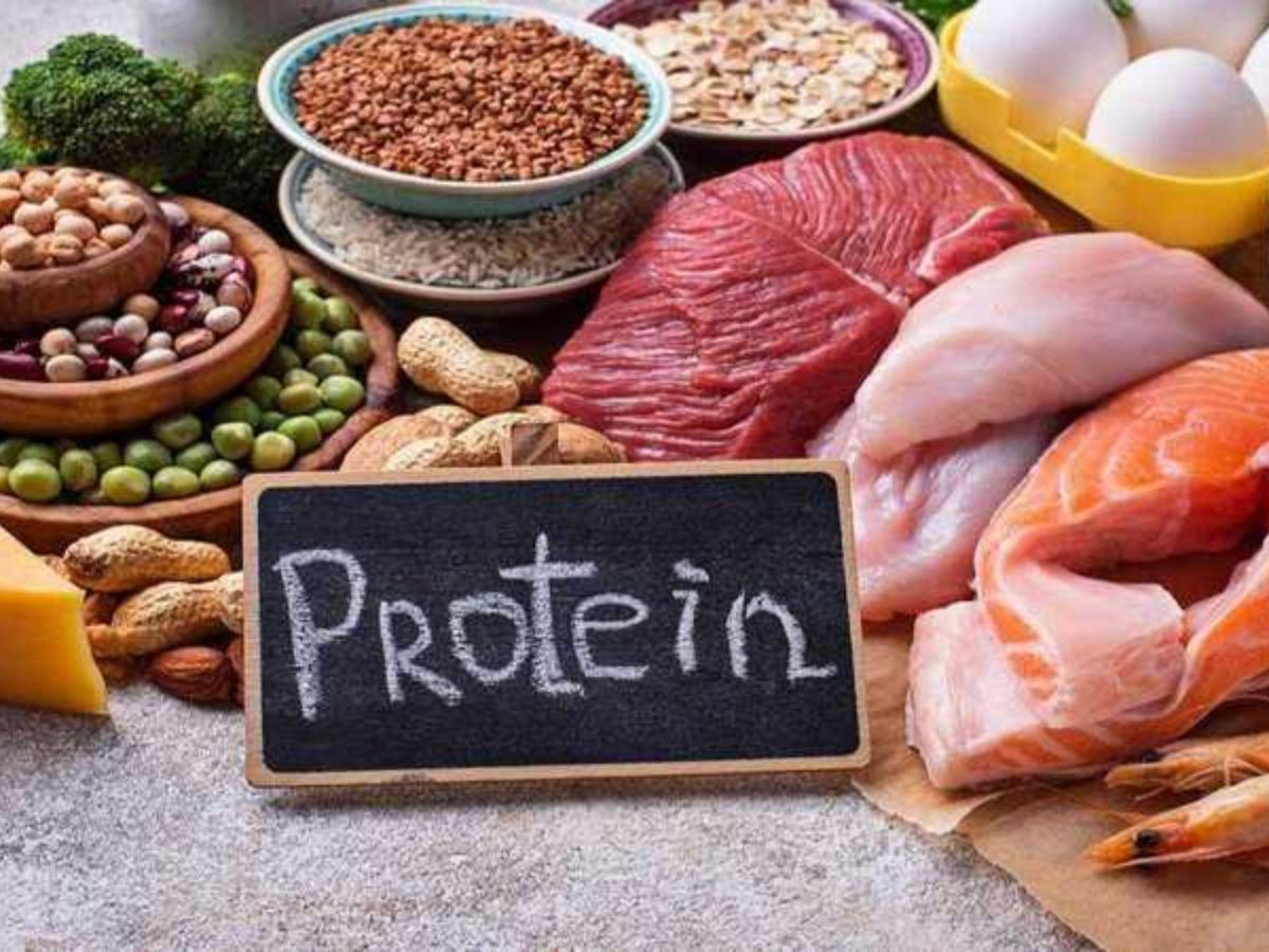 Định nghĩa protein
