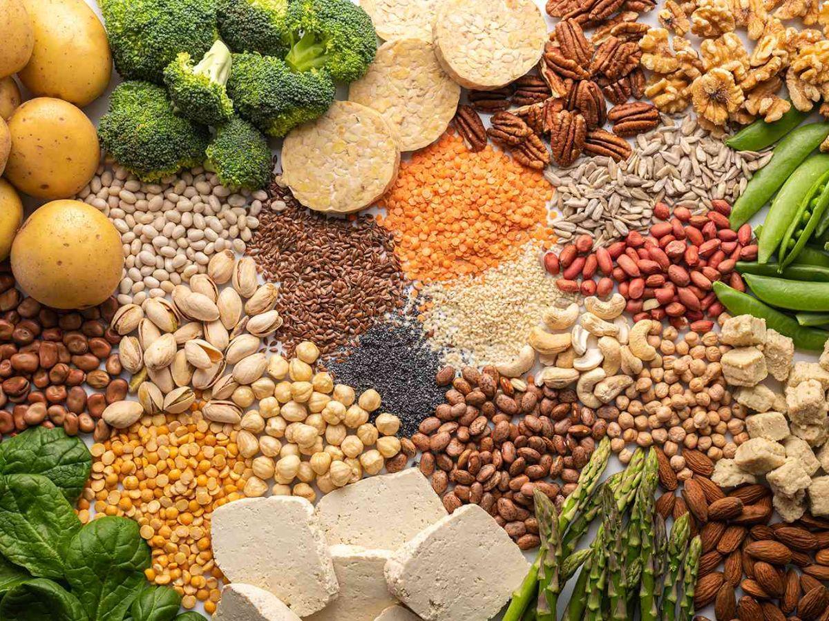 Protein là thành phần quan trọng để hỗ trợ sức khỏe tổng thể tốt hơn 