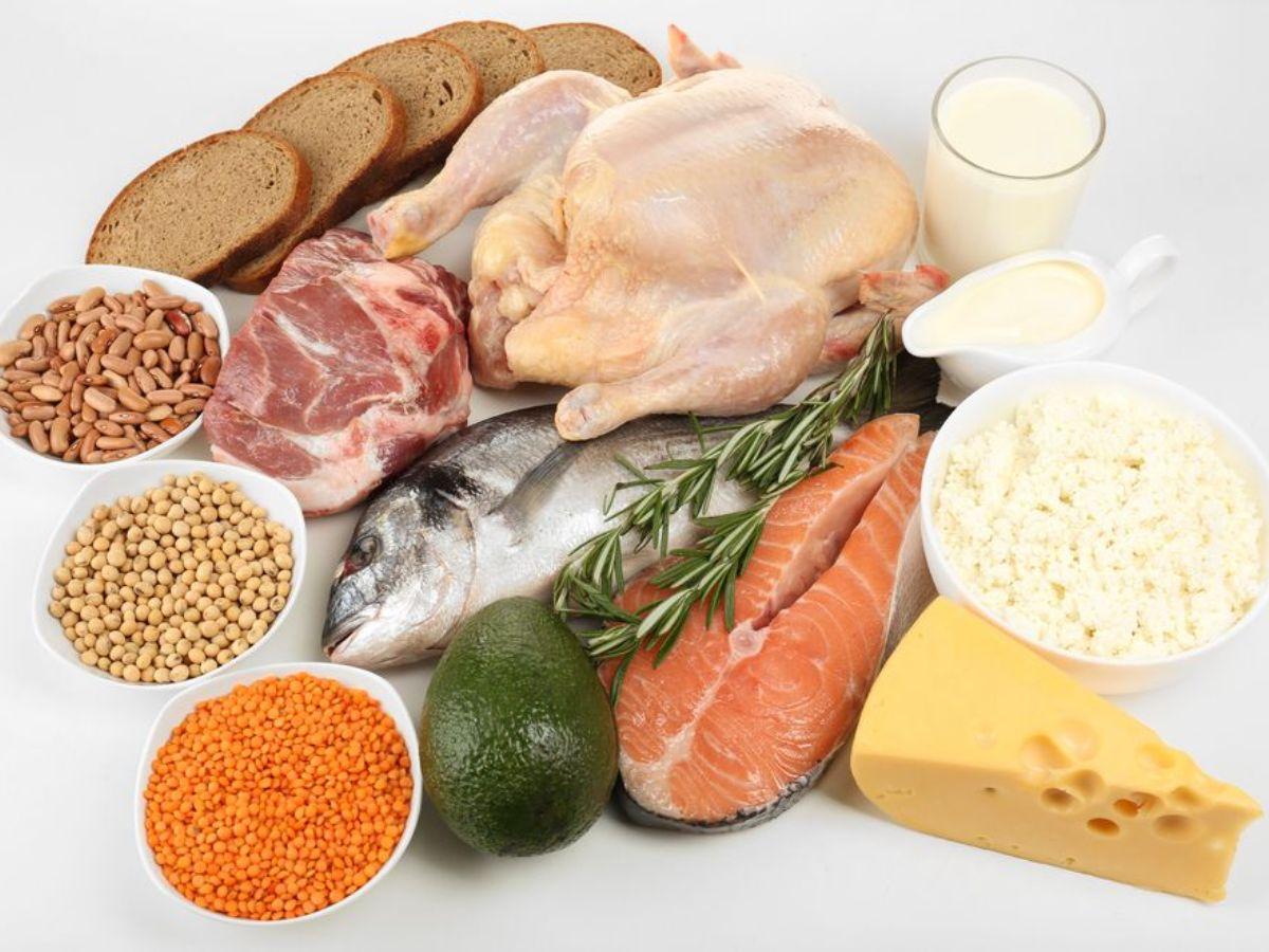Protein cung cấp năng lượng & vận chuyển chất dinh dưỡng đến từng tế bào trong cơ thể 