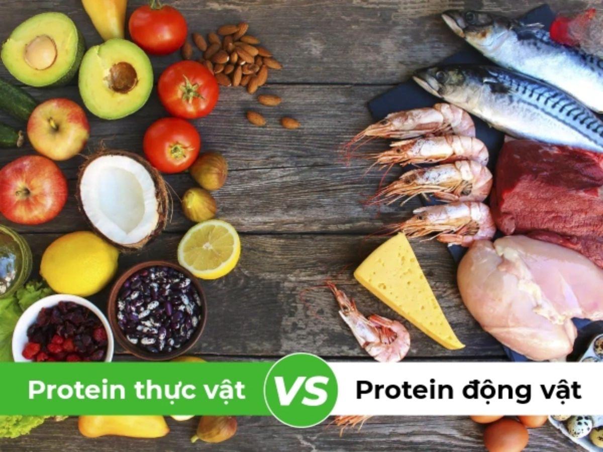 So sánh protein động vật và thực vật