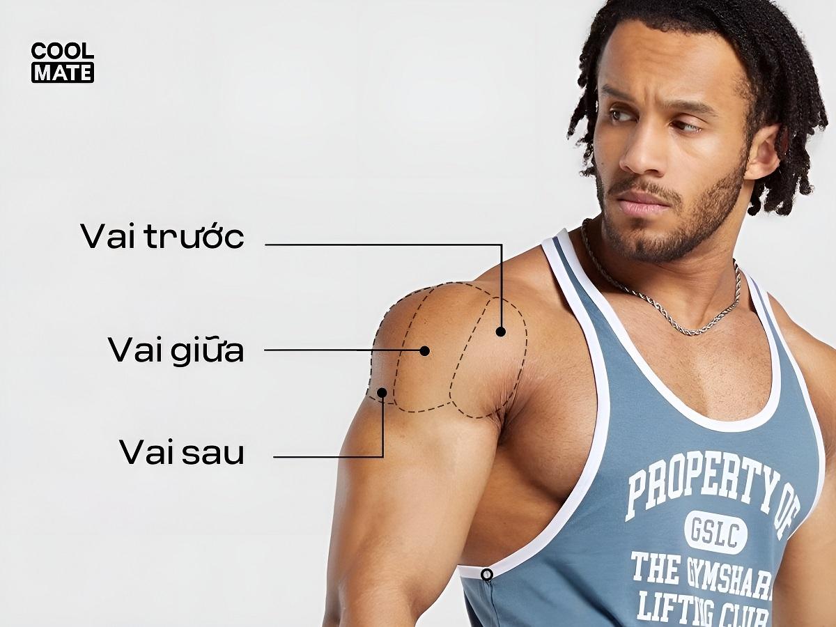 Lợi ích của tập cơ vai 